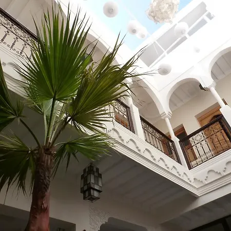 Riad Safina-2
